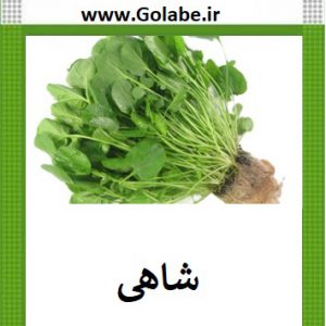 بذر شاهی