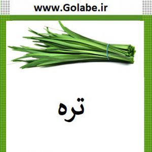 بذر تره سبزی