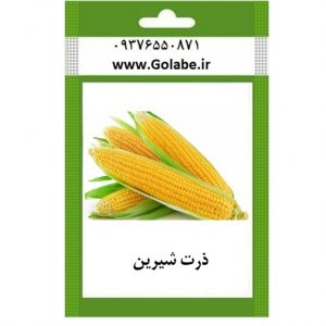 بذر ذرت شیرین