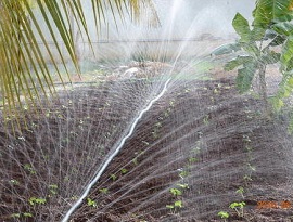 peflex irrigation