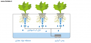 کشت به روش ایروپونیک 