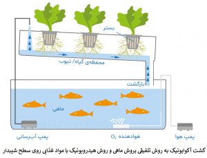 Nftaquaponic آکواپونیک